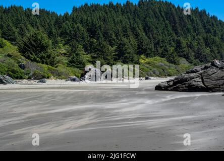 Sable soufflant sur une plage avec des rochers avec une forêt de pins dans l'Oregon, États-Unis. Banque D'Images