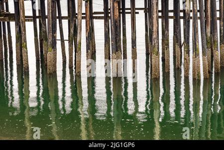 Reflet des pillages en bois de la jetée dans l'océan froid à Icy Strait point en Alaska, le jour nuageux Banque D'Images