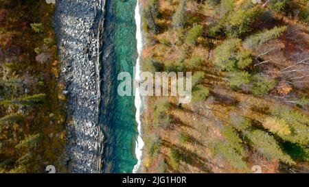 Vue de haut en bas d'une rivière turquoise dans la zone sauvage. Action. Vue à vol d'oiseau d'un parc national d'automne avec des arbres et une rivière qui coule Banque D'Images