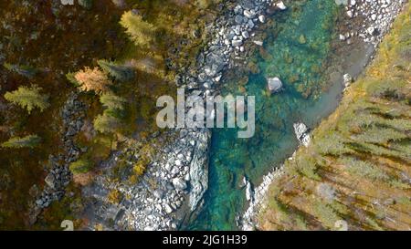 Vue de haut en bas d'une rivière turquoise dans la zone sauvage. Action. Vue à vol d'oiseau d'un parc national d'automne avec des arbres et une rivière qui coule Banque D'Images