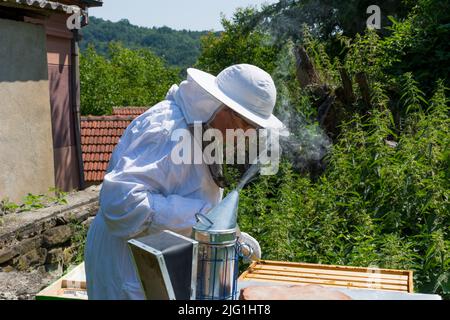 Femme apicole inspectant la ruche d'abeille dans un apiaire lors d'une journée ensoleillée d'été. La femme porte des vêtements de protection. Concept d'apiculture. Gros plan, espace de copie Banque D'Images