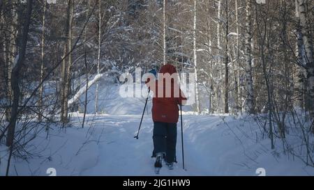 Ski de fond dans une forêt d'hiver. Créatif. Vue arrière d'un enfant skier dans une forêt par une journée d'hiver, concept de soins de santé et de mode de vie actif Banque D'Images