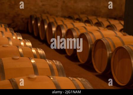 fûts de vin alignés dans une cave à vin. Fermentation du raisin Banque D'Images
