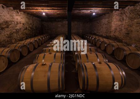 fûts de vin alignés dans une cave à vin. Fermentation du raisin Banque D'Images