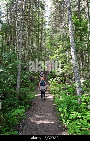 Jeunes femmes qui font la randonnée sur le sentier du lac Stanton dans la région sauvage de Great Bear, Montana, le jour d'été ensoleillé. Banque D'Images