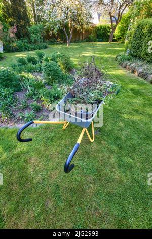 Une brouette pleine de plantes dans un jardin vert d'en haut. Équipement d'entretien sur une pelouse propre et bien entretenue dans une cour ensoleillée utilisé pour Banque D'Images