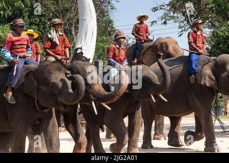 Village d'éléphants, spectacle d'éléphants, représentation, Surin, ISAN(Isaan), Thaïlande, Asie du Sud-est, Asie Banque D'Images