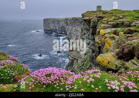 Falaises Marwick Head Banque D'Images