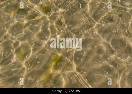 Gros plan d'eau de mer ou de plage peu profonde avec espace de copie par jour ensoleillé. Soleil brillant sur un lac sablonneux avec de petites ondulations fines en été. Bassin frais clair Banque D'Images