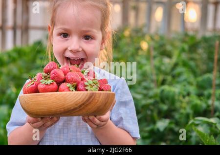 petite fille enthousiaste avec des fraises fraîchement cueillies sur serre biologique Banque D'Images