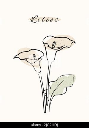 Lys floral botanique nature ligne art dessiné à la main avec des formes abstraites grunge organique. Illustration de Vecteur
