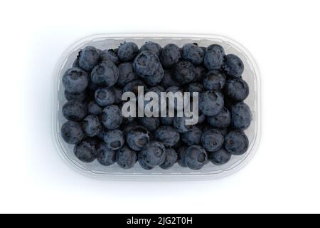 bleuets frais dans un contenant en plastique isolé sur fond blanc, vue de dessus Banque D'Images