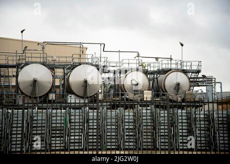 Cuves de fermentation pour la vinification Banque D'Images