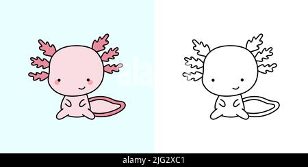 Définir la page de coloration Axolotl Clipart et l'illustration colorée. Clip Art kawaii Axolotl. Illustration vectorielle d'un animal kawaii pour colorier des pages, des tirages Illustration de Vecteur