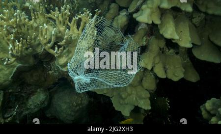 Les articles de cuisine en plastique mis au rebut pendent du récif de corail. Pollution plastique de l'océan. Sac en plastique en maille accroché à un magnifique corail Banque D'Images