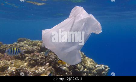 Pollution plastique de l'océan, un sac en plastique de wtite jeté sur le récif tropical de corail, sur le fond bleu de l'eau naine l'école de poissons tropicaux. Non Banque D'Images