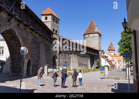 Personnes aux murs de la ville de Tallinn, une section des fortifications médiévales du 14th siècle incluant la tour Nuns, la vieille ville de Tallinn, Tallinn Estonie Banque D'Images