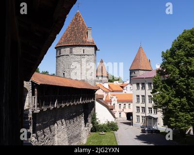 La muraille de la ville de Tallinn, une section de la fortification médiévale du 13th siècle avec la Tour des Nuns, site du patrimoine mondial ; la vieille ville de Tallinn, Tallinn Estonie Banque D'Images