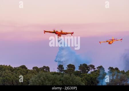 Canadaire essayant de faire feu dans la garrigue en été à Occitanie, en France Banque D'Images