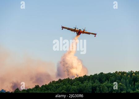 Canadaire essayant de faire feu dans la garrigue en été à Occitanie, en France Banque D'Images