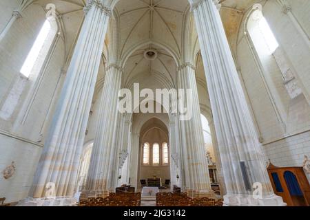 Intérieur de l'église fortifiée collégiale Saint-Martin de Candes, département de l'Indre-et-Loire, France. Collégiale où Saint Martin de Tours était l Banque D'Images