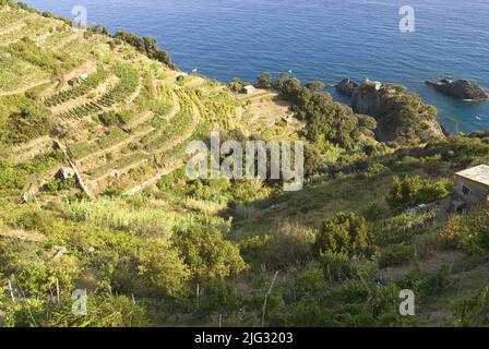Côte ligurienne, Italie, Ligurie, Parc national des Cinque Terre, Monterosso Al Mare Banque D'Images
