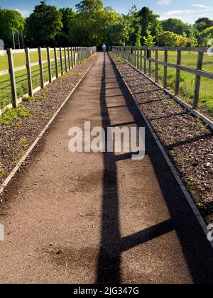 Situé à côté de mon village d'origine, Radley Wood fait en fait partie du très grand Bagley Wood, situé entre Abingdon et Oxford. Ici W Banque D'Images