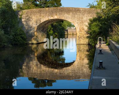 La Tamise est plutôt confuse autour de Culham dans l'Oxfordshire. Il y a une masse de affluents, eaux de fond, étangs, déversoirs et écluses le long de cette étendue o Banque D'Images