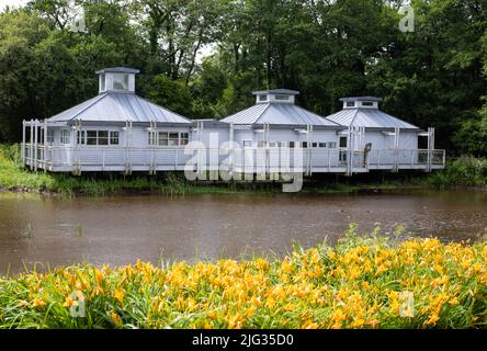 Photo prise au jardin botanique national du pays de Galles en juillet 2022 montrant des fleurs devant la maison des plantes aquatiques. Banque D'Images