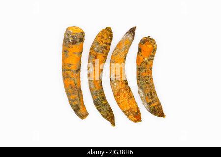 Carotte gâtée. Pourriture des légumes de carotte avec du moule sur fond blanc. Stockage incorrect des produits agricoles. Carotte d'orange moisie. Champignon noir Banque D'Images