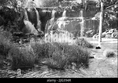 Les chutes d'eau de Tumwater sont une série de cascades sur la rivière Deschutes à Tumwater, Washington, États-Unis. Banque D'Images