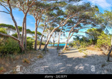 Vue remarquable sur les plages de Palombaggia et Tamaricciu. Destination de voyage célèbre. Lieu: Porto-Vecchio, Corse, France, Europe Banque D'Images