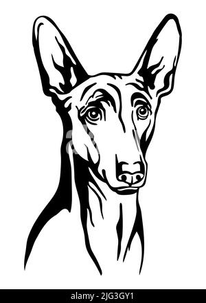 Portrait de contour noir de chien Pharaon. Tête de chien dans la vue de face illustration vectorielle isolée sur blanc. Pour la décoration, le design, l'impression, l'affiche, la carte postale, autocollant, Illustration de Vecteur