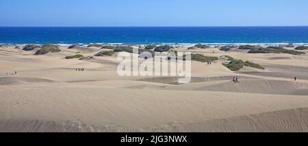 Dunes et arbustes, Moquins Traganum (Traganum Moquinii), les dunes sont réserve naturelle depuis 1987, Maspalomas, Grand Canaries, îles Canaries, Espagne, Euros Banque D'Images