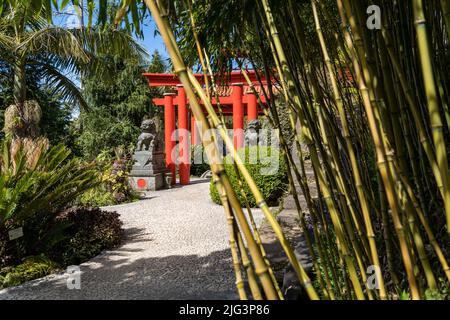 Torii dans le jardin tropical Funchal Banque D'Images