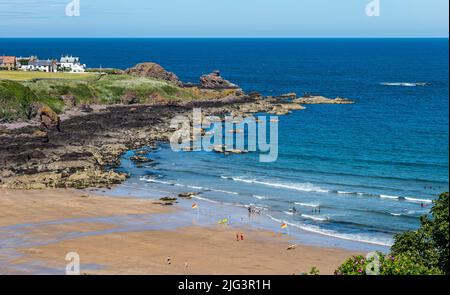 Coldingham Bay, Berwickshire, Écosse, Royaume-Uni, 7th juillet 2022. Météo au Royaume-Uni : vacances d'été soleil. La plage de sable dans la station balnéaire est occupée par des familles qui profitent d'une chaude journée ensoleillée au bord de la mer avec des gens dans la mer pendant la première semaine des vacances d'été Banque D'Images