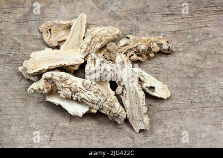 Médecine chinoise de fines herbes - Dang GUI Ginseng (Angelica Sinensis) sur bois Banque D'Images