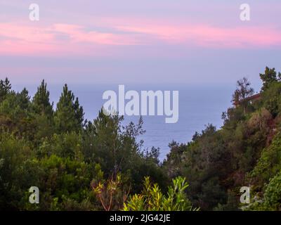 En regardant vers l'océan, à travers une gorge boisée à l'aube, de la côte sud de l'Afrique du Sud. Banque D'Images