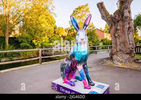 'Soyez votre beau soi', une sculpture colorée de Jenny Muncaster dans le cadre de la piste d'art public d'été de Hares of Hampshire dans les Weirs, Winchester Banque D'Images