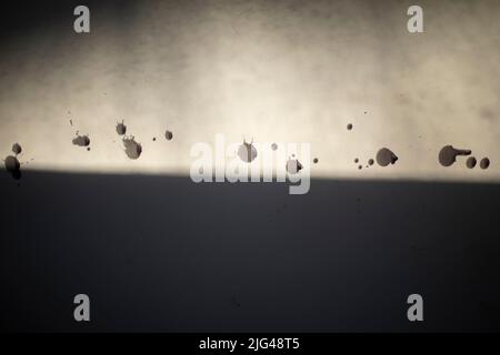 Saleté sur le mur. Breloques noires sur un mur blanc. Éclaboussures de cire. Banque D'Images