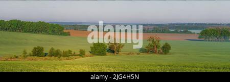 Vue sur le paysage aux champs verts de blé et aux collines ondoyantes au printemps Banque D'Images