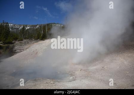 Parc national de Yellowstone, États-Unis. 5/21-24/2022. Beryl Spring est une source chaude en bord de route dans le bassin de Gibbon Geyser. Facilement accessible à pied. Grand surchauffé Banque D'Images