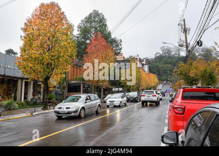 Gramado, RS, Brésil - 19 mai 2022 : platanes colorés décorant une rue de la ville de Gramado. Banque D'Images
