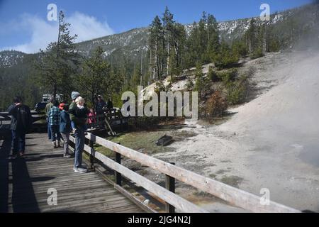 Parc national de Yellowstone, États-Unis. 5/21-24/2022. Beryl Spring est une source chaude en bord de route dans le bassin de Gibbon Geyser. Facilement accessible à pied. Grand surchauffé Banque D'Images