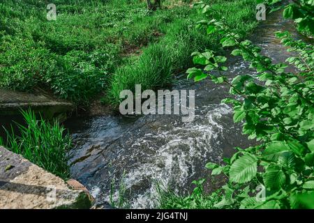 Tuyau en béton transportant l'eau d'égout polluée dans un petit étang de la forêt de la cascade de la rivière mousse Banque D'Images