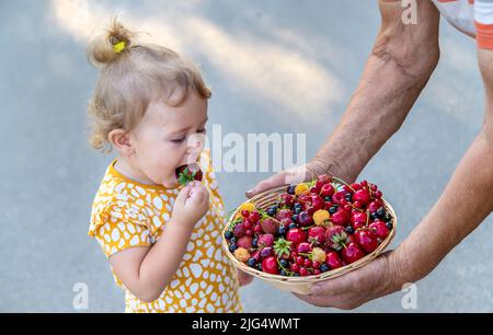 L'enfant mange des baies dans le jardin. Mise au point sélective. Enfant. Banque D'Images