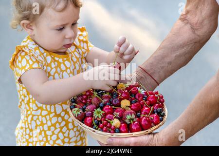 L'enfant mange des baies dans le jardin. Mise au point sélective. Enfant. Banque D'Images