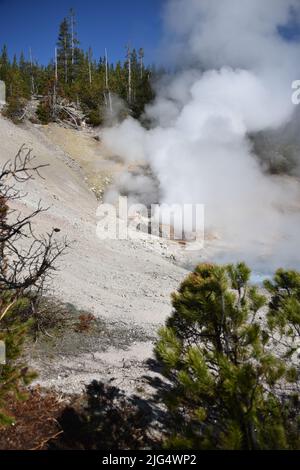 Parc national de Yellowstone, États-Unis. 5/21-24/2022. Beryl Spring est une source chaude en bord de route dans le bassin de Gibbon Geyser. Facilement accessible à pied. Grand surchauffé Banque D'Images