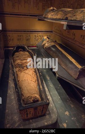 Momies égyptiennes anciennes exposées au Royaume-Uni. Banque D'Images