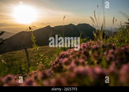 Vue sur la pente de monte Nerone dans la région des Marches en Italie Banque D'Images